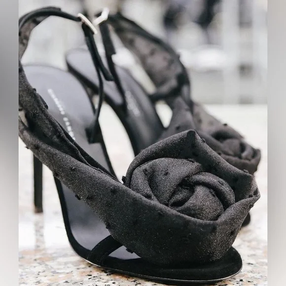 Zanotti rose best sale